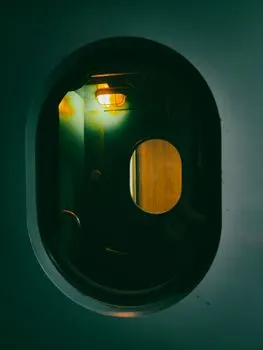 emerged — появился