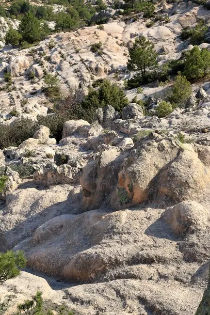 It blends in with the environment — оно сливается с окружением