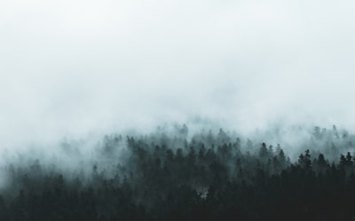 abgewetzt — потёртый