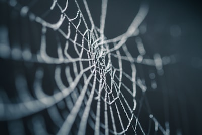 Creepy crawly — букашка