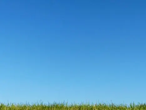 um es klar zu sagen — скажу прямо
