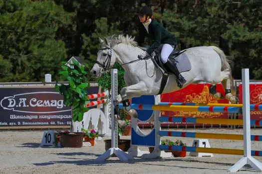 Showjumping — прыжки