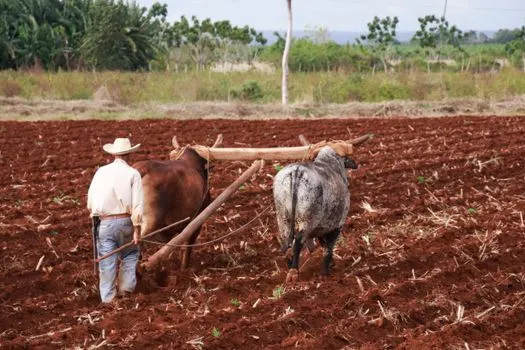 Agriculture — сельское хозяйство
