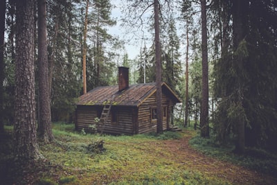 cabin — хижина