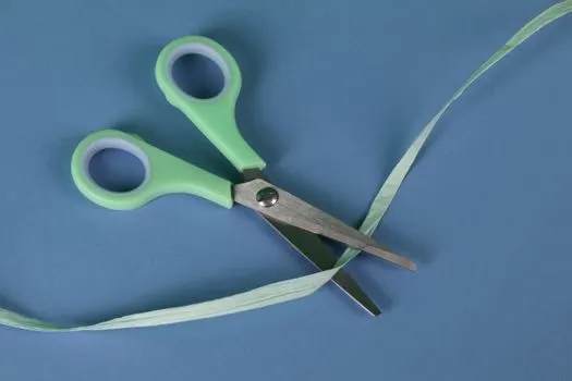 to cut a long story short — Короче говоря