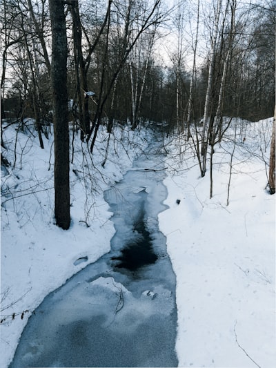 thaw out — размораживаться