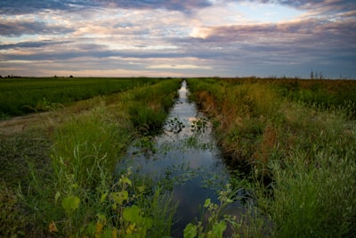 ditch — канава