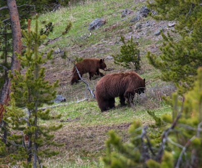 bear with — потерпеть