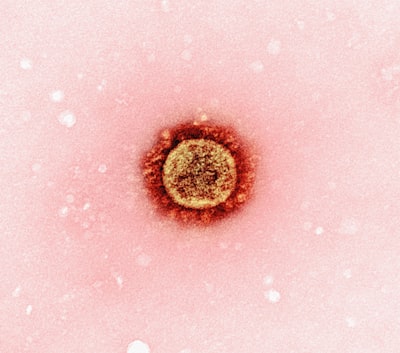 Herpes — герпес