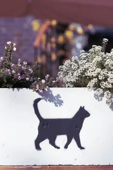 künstlerischen — художественный