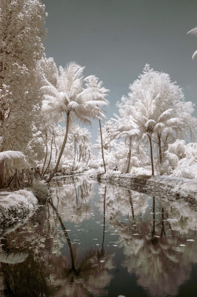 infrared — инфракрасный