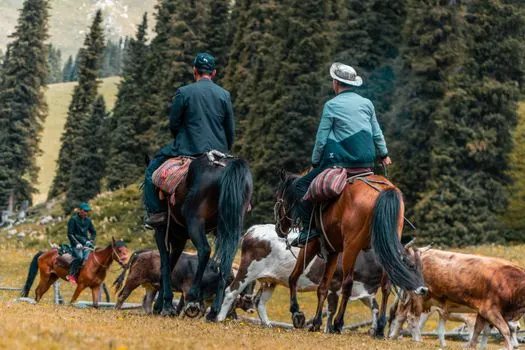 pastoralism — Пастушество