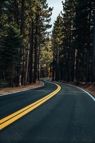 Paved road — асфальтированная дорога