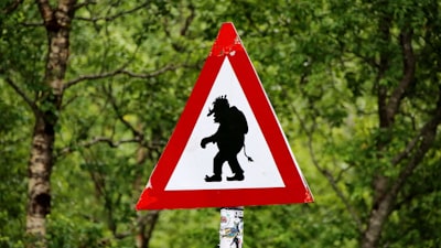 troll — тролль