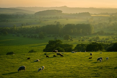 countryside — сельская местность