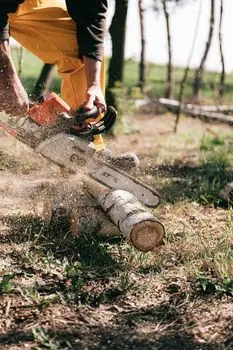 Cut down — срубить