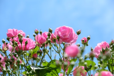 Have a nice day — хорошего дня