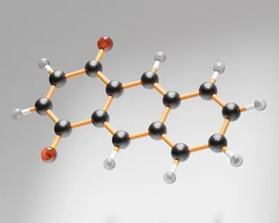 Lipiddoppelschicht — липидный бислой