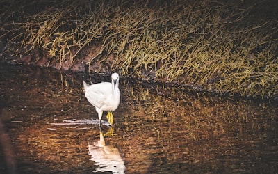 Wading through — продираясь через