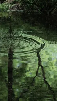 Puddles gleamed — Лужи блестели