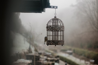 Cage — клетка