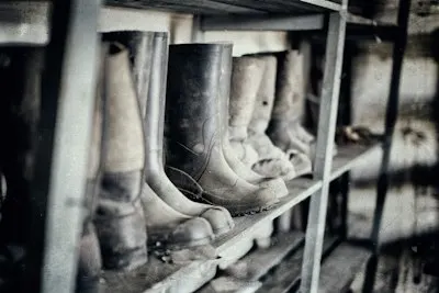 Wellies — Резиновые сапоги