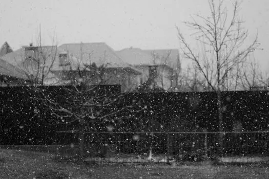 neige — Снег