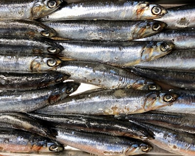Anchovies — анчоусы