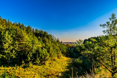 ulubione miejsce — любимое место