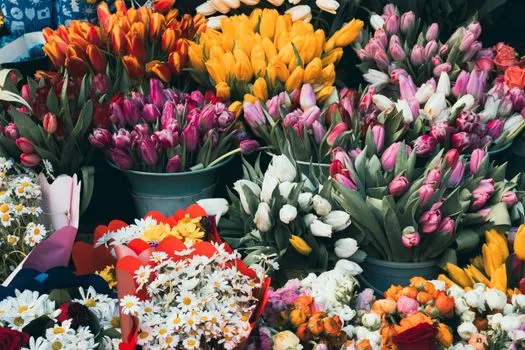 Blumen — цветы