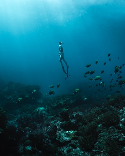 Tauchen im Meer — ныряние в море