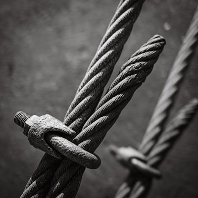 vielversprechende — многообещающий