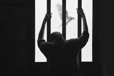 Imprisonment — тюремное заключение