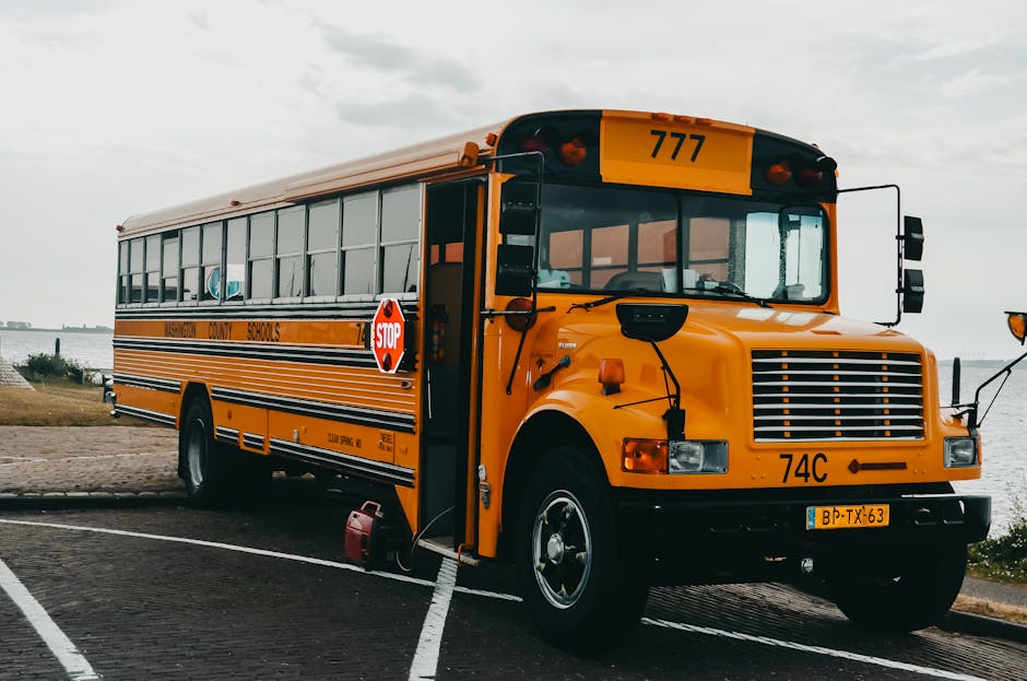 autobus szkolny — школьный автобус