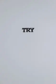 Attempt to — стараться