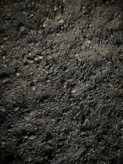 Mud — Грязь