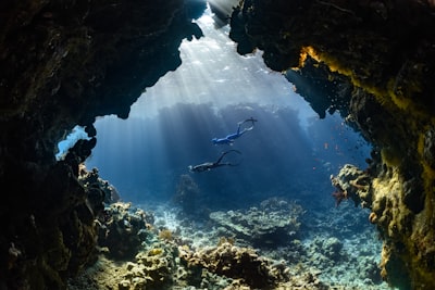 diving — дайвинг