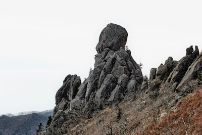 resemble — походить на
