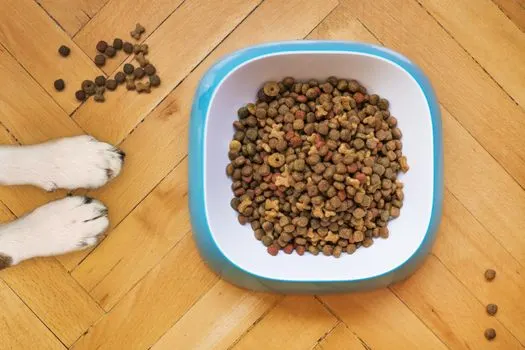 pet food — корм для питомцев