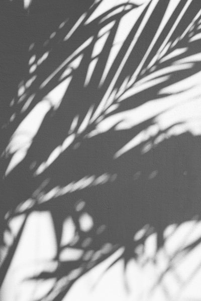 shade — тень