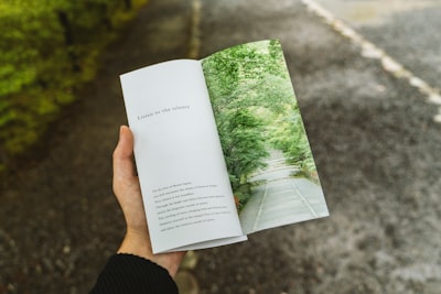 brochure — брошюра