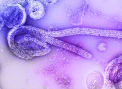 parasites — паразиты
