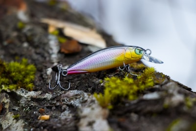 Lure — заманивать