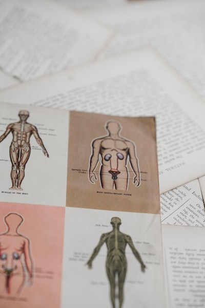 Acupuncture points chart — схема акупунктурных точек