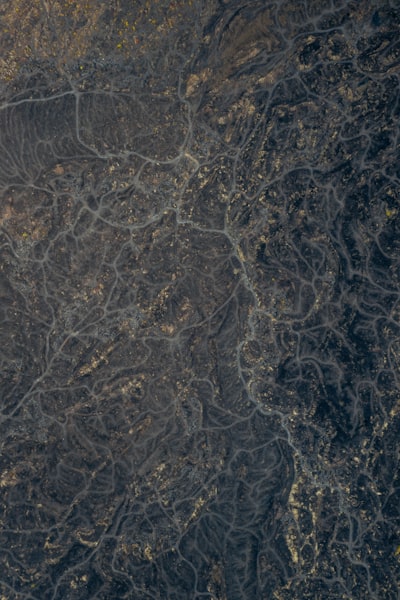 vein — вена