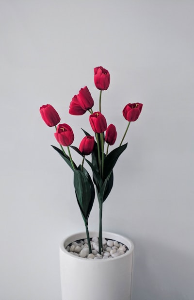 Flowerpot — цветочный горшок