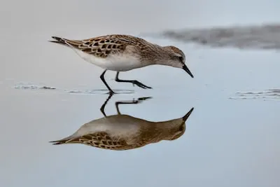 stint — период работы