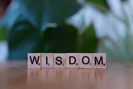 Starving for wisdom — Жажду мудрости