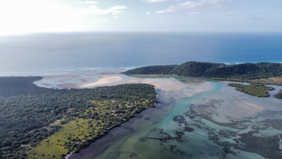 Estuary — устье реки