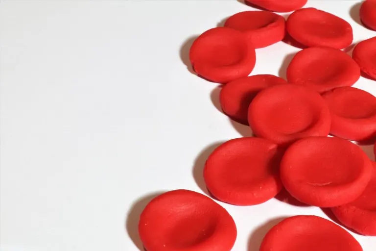 arteries supply — артерии снабжают